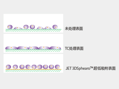 超低吸附表面具有共價結(jié)合的水凝膠層，具有極強(qiáng)的抗蛋白吸附性和抗細(xì)胞貼壁性，可有效抑制細(xì)胞附著