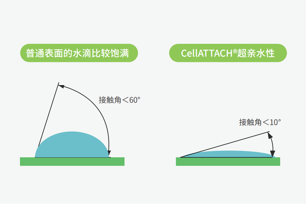 獨(dú)特的超親水表面處理技術(shù)，能為細(xì)胞提供更好的吸附性，促進(jìn)細(xì)胞快速貼壁生長，提高產(chǎn)量